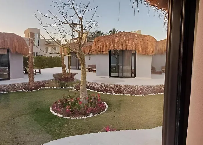 Queen T Resort